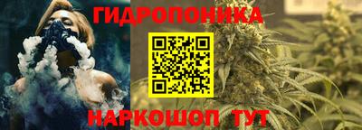 прущие крисы Обь