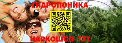 прущие грибы Обнинск