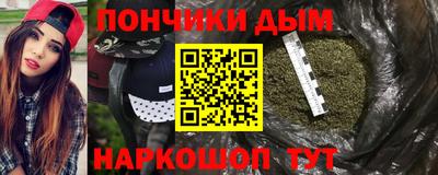 прущие грибы Обнинск