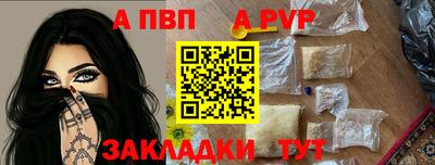 прущие грибы Обнинск