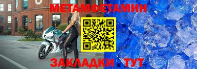 прущие грибы Обнинск