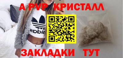 прущие грибы Обнинск